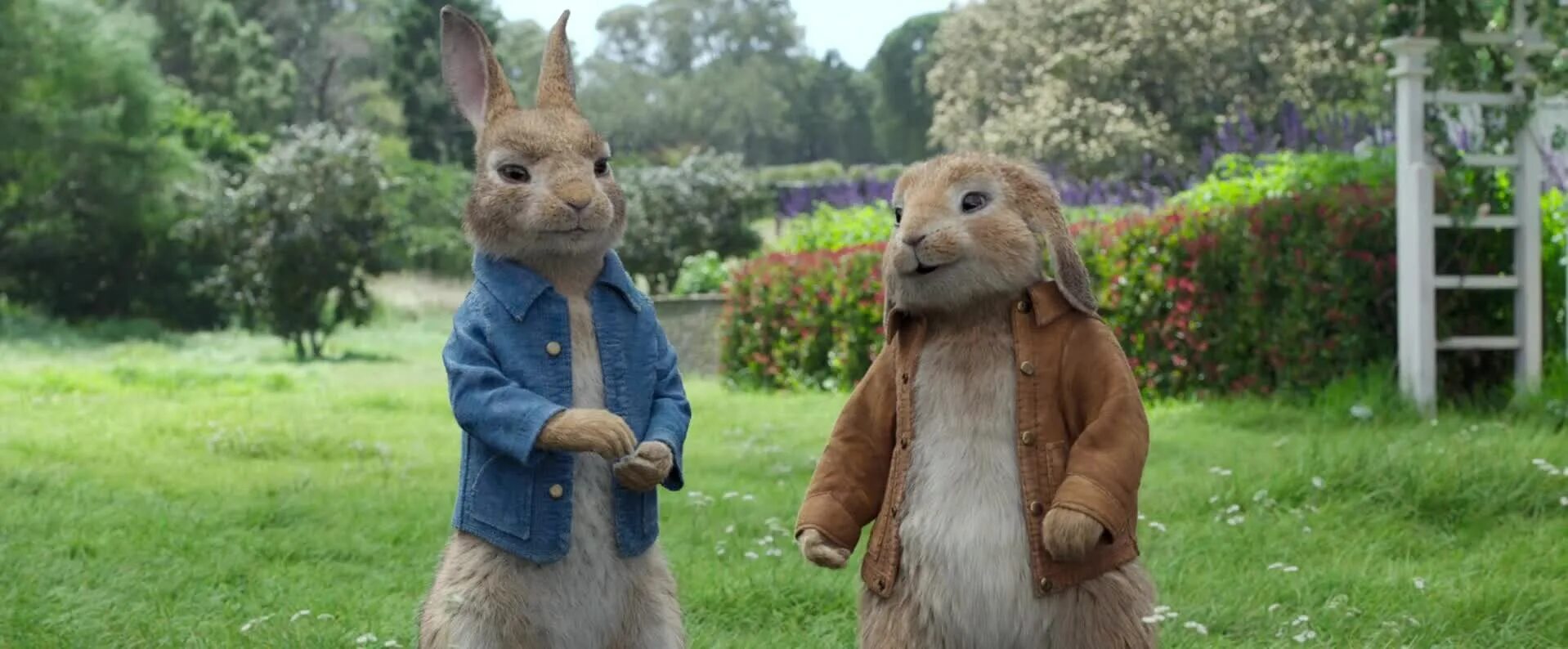 Братцы кролики 2021. Кролик Питер 2. Кролик Питер 2 / Peter Rabbit 2: the Runaway (2021).