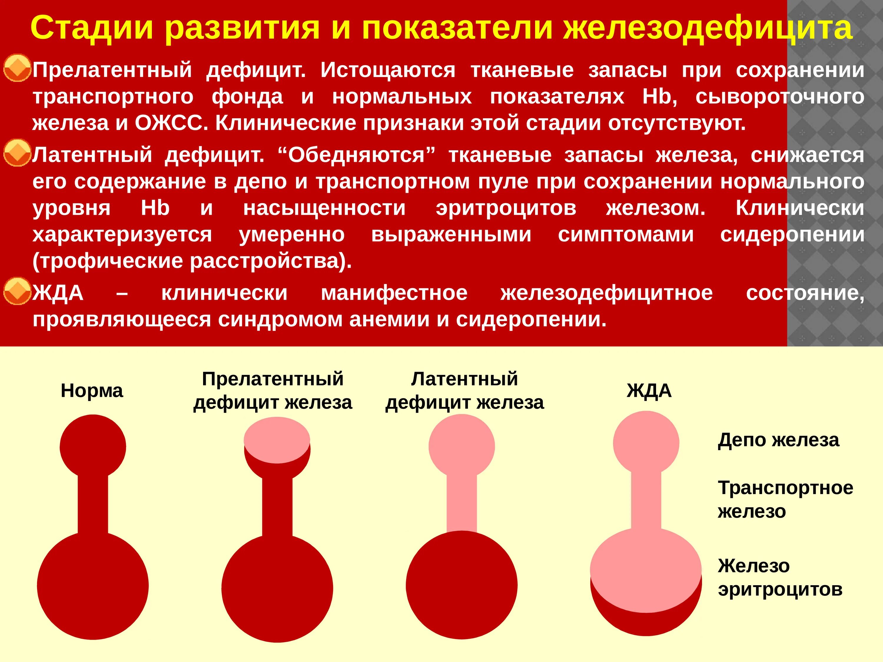 Стадии развития крови. Возрастные особенности крови. Возрастные изменения крови у детей. Возрастные изменения системы кроветворения. Возрастные особенности периферической крови.