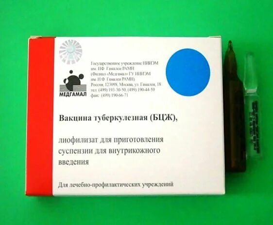 Вакцина туберкулезная бцж состав. Имурон-вак 50мг производитель. Производитель вакцины имурон-вак. Вакцина бцж инструкция. Имурон 50 мг.