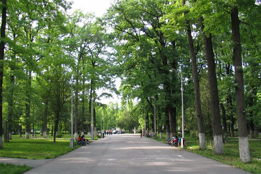 Наташинский парк люберцы. Наташкин парк в люберцах. Ер парк. Химки парк толстого 1944. Н толстого.