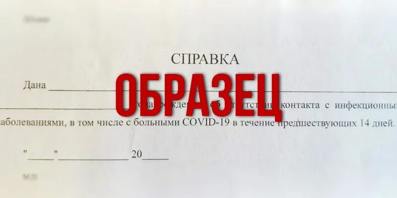 Справка о санитарном окружении. Справка об отсутствии контактов. Справка об отсутствии контактов с Ковидом. Справка об отсутствии контактов с инфекционными больными. Справка об отсутствии контактов с ковид больными.