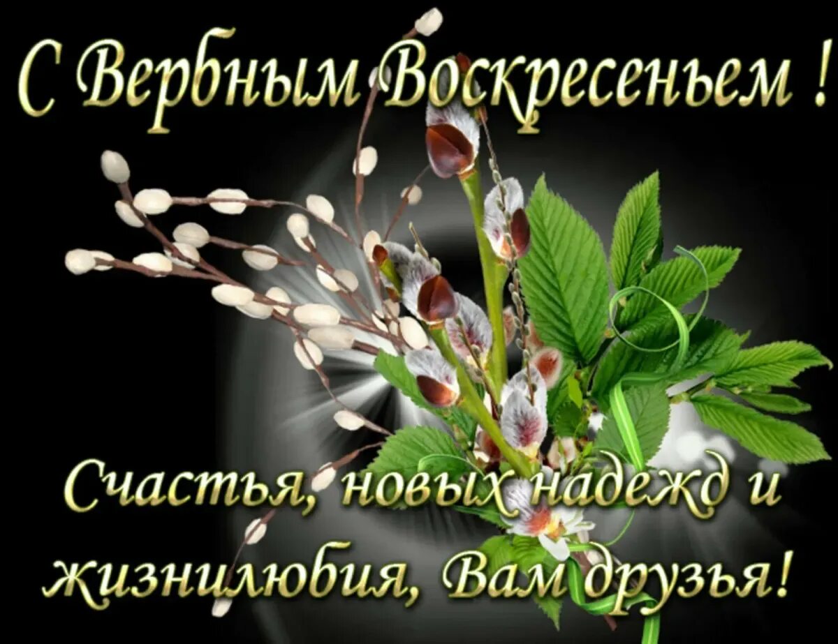 Поздравления с вербным воскресеньем в картинках. С Вербным воскресеньем. С праздником Вербное воскресенье. Вербное воскресенье поздравления. С наступающим Вербным воскресеньем.