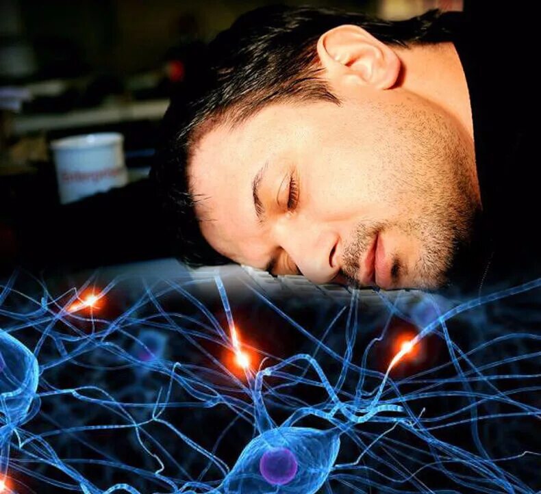 Восстановление деятельности головного мозга. Про сон. Активность мозга. Сон человека. Мозговая активность.