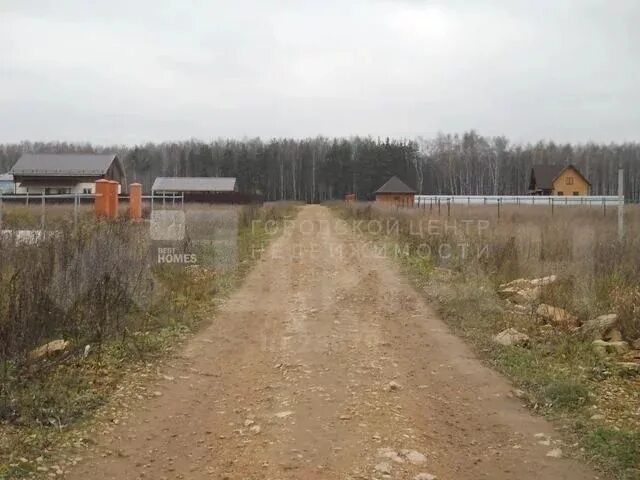 Большие жеребцы. Участок большие жеребцы. Деревня большие жеребцы. Участок большие жеребцы. Участок большие жеребцы.