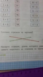 Сколько отрезков на тетрадь