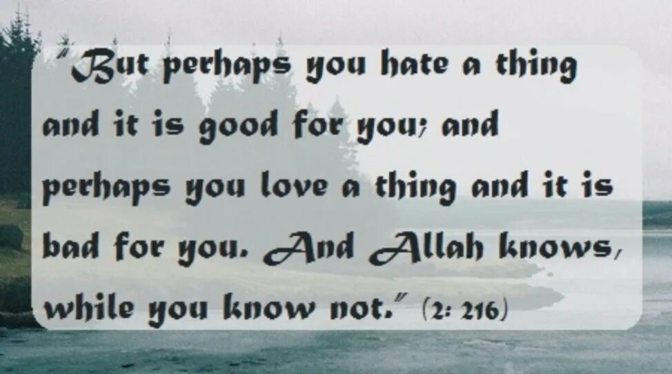 Bad for them good for me. If you know allah&#039;s kind to you. quran verses about bad words.