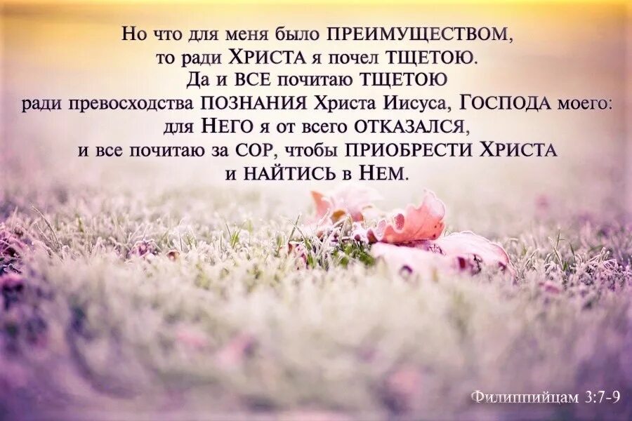 Стих дня из библии. Библейские стихи. библия стихи. стихи из библии в картинках. христианские картинки со стихами из библии.