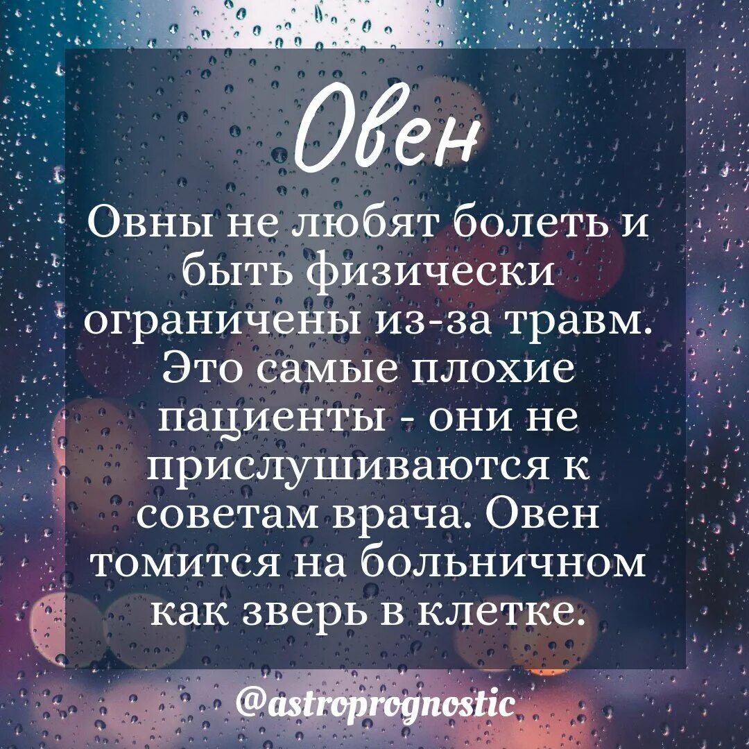 Овен. Цитаты про Овнов женщин. Высказывания про Овнов. Овен гороскоп. Гороскоп овен отношения