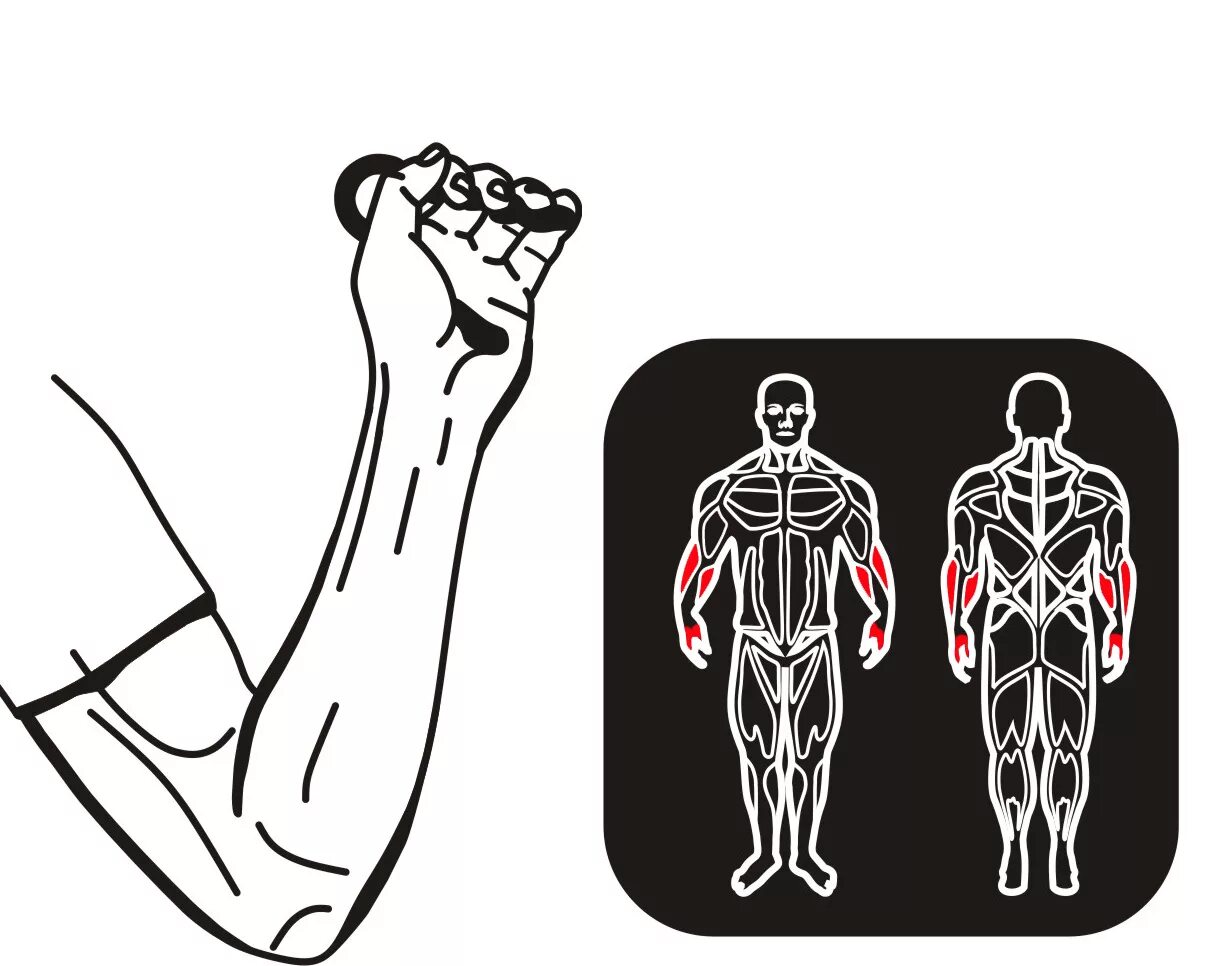 Какие мышцы работают при эспандере. Упражнения с пружинным эспандером для мужчин. Эспандер грудной пружинный упражнения для мужчин. Какие мышцы работают при эспандере. Комплекс упражнений с плечевым эспандером.