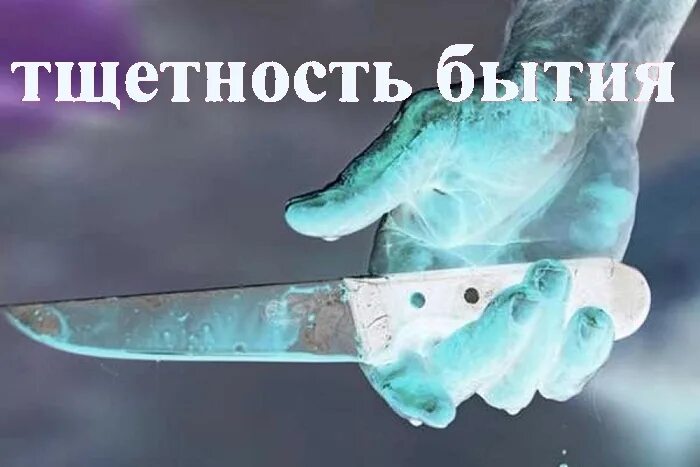 Мемы про тщетность бытия. Познал тщетность бытия. Кот и тщетность бытия. Тщетность рисунок.