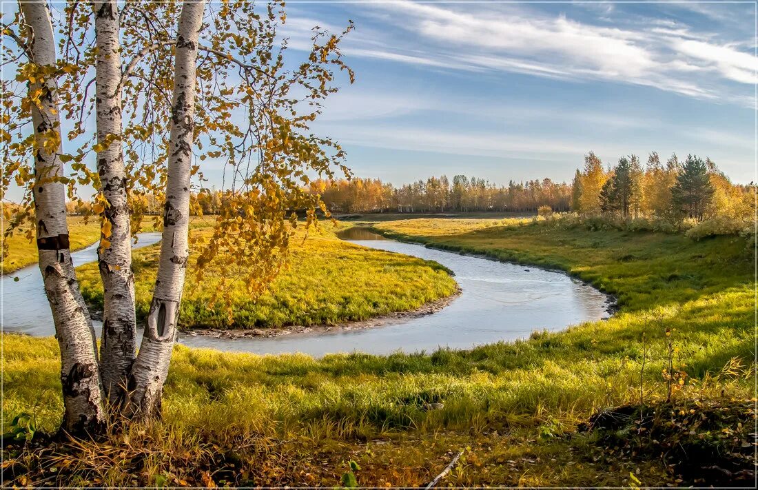 Реки россии осенью. Река береза Тверская область. Русская природа. Российский пейзаж. Пейзажи природы.