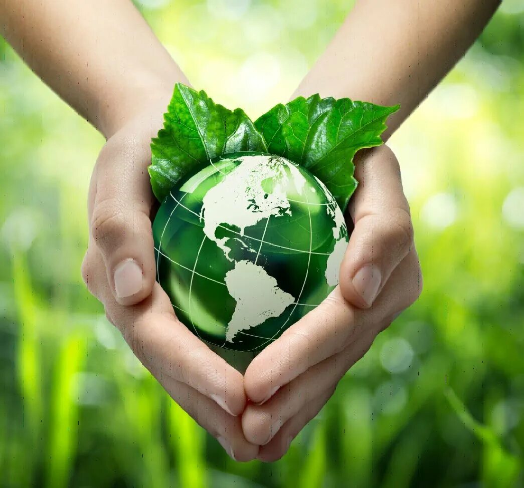 Environment current directory