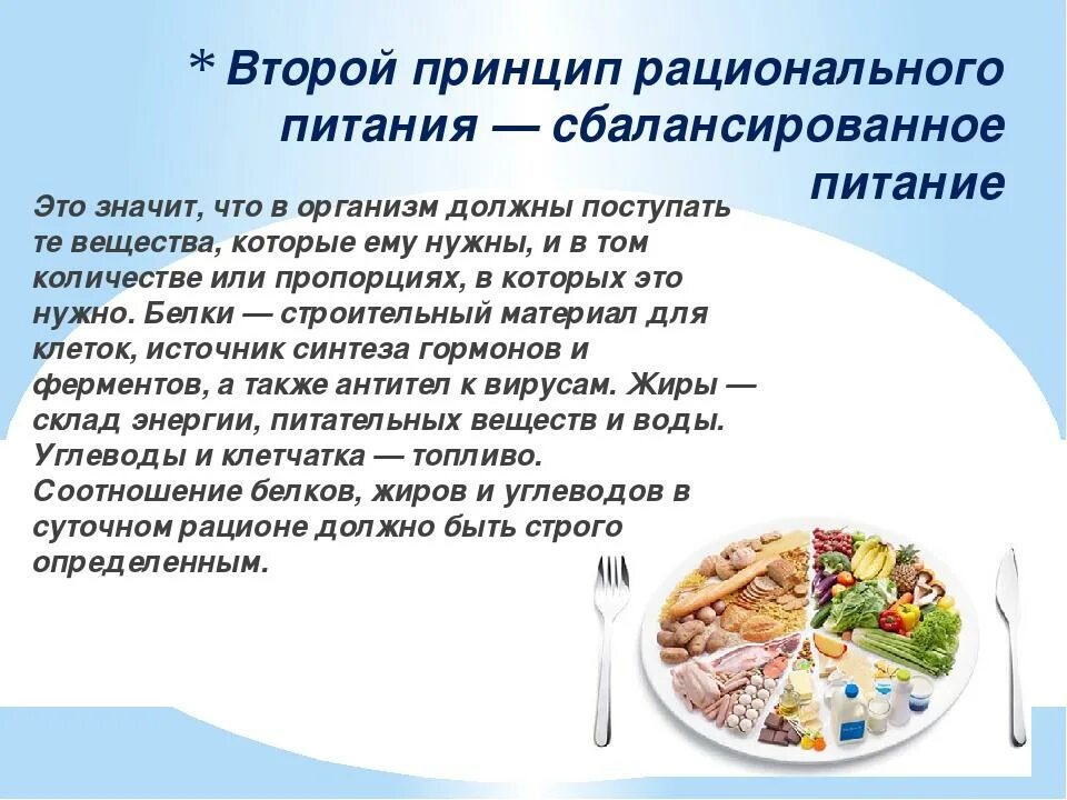Что такое питание кратко. Рациональное питание. принципы питания.. сбалансированное питание. принципы рационального сбалансированного питания. основные принципы сбалансированного и рационального питания.