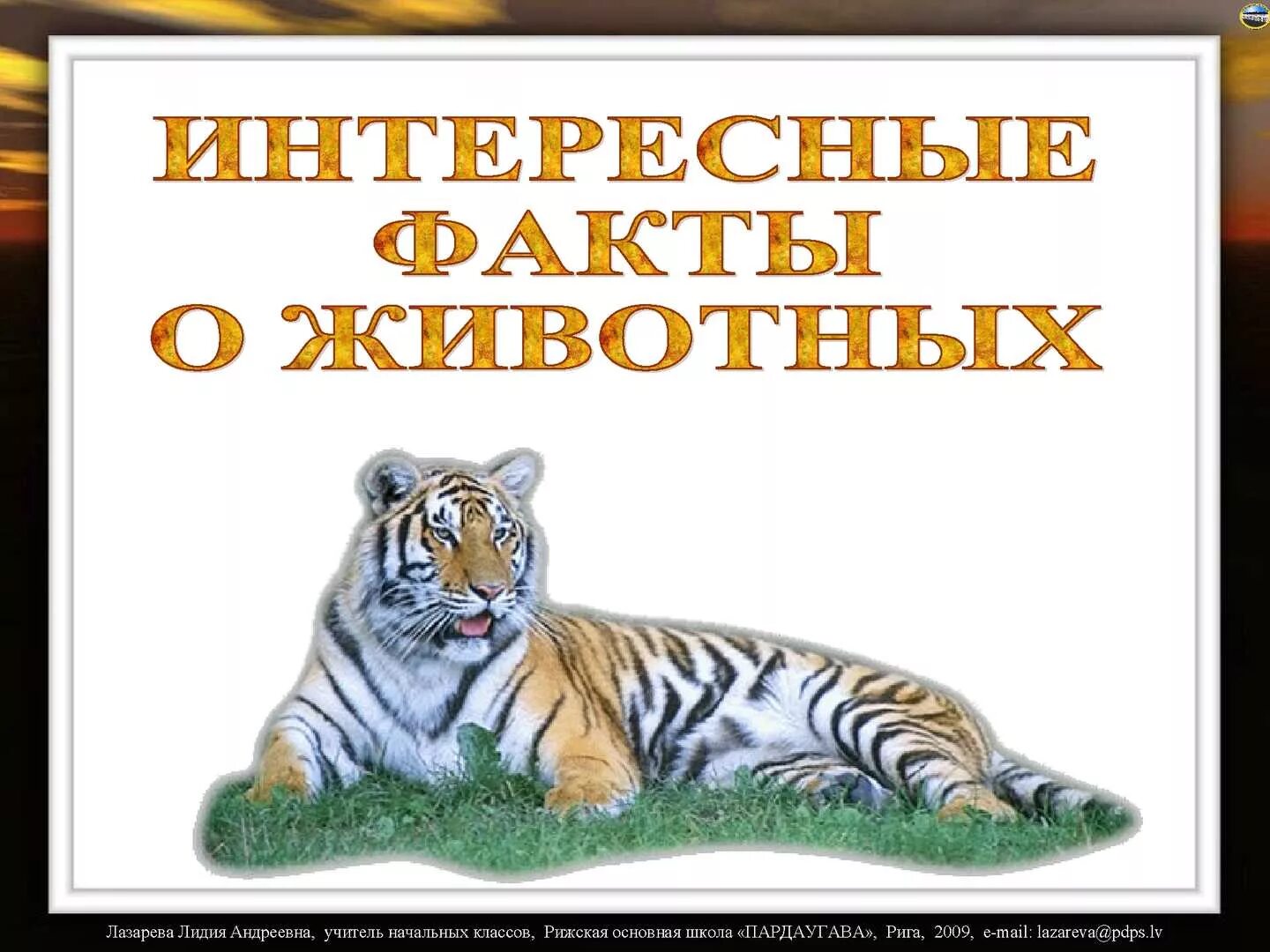 Про животных для школьников. Интересные факты о животных. Удивительные факты о животных. Интересные факты о животных книга. Необычные факты о животных.