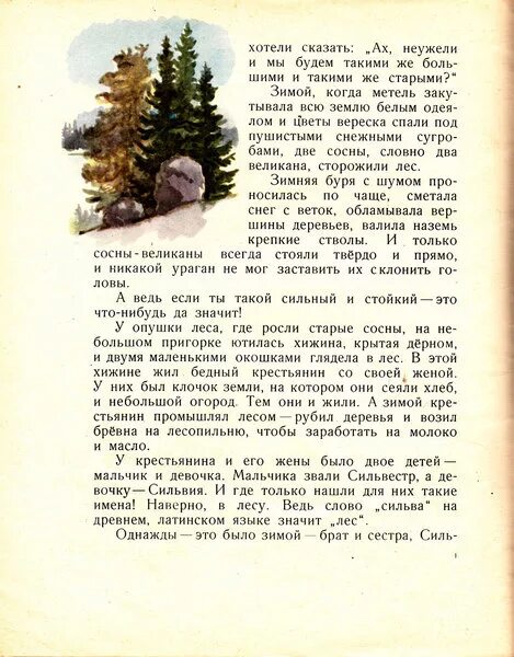 У старой сосны что хотел сказать автор. Топелиус с. "зимняя сказка". Топелиус зимняя сказка ответы. Текст Топелиус зимняя сказка. Зимняя сказка Топелиус картинки.