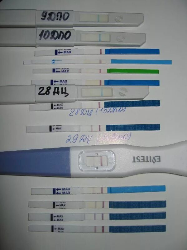 Тест полоска до задержки месячных. Тест на беременность 1 и на 2 день задержки. Тест на беременность на 4 день задержки показывает беременность. Тест на беременность 1 день до задержки. В 1 день задержки тест покажет беременность.