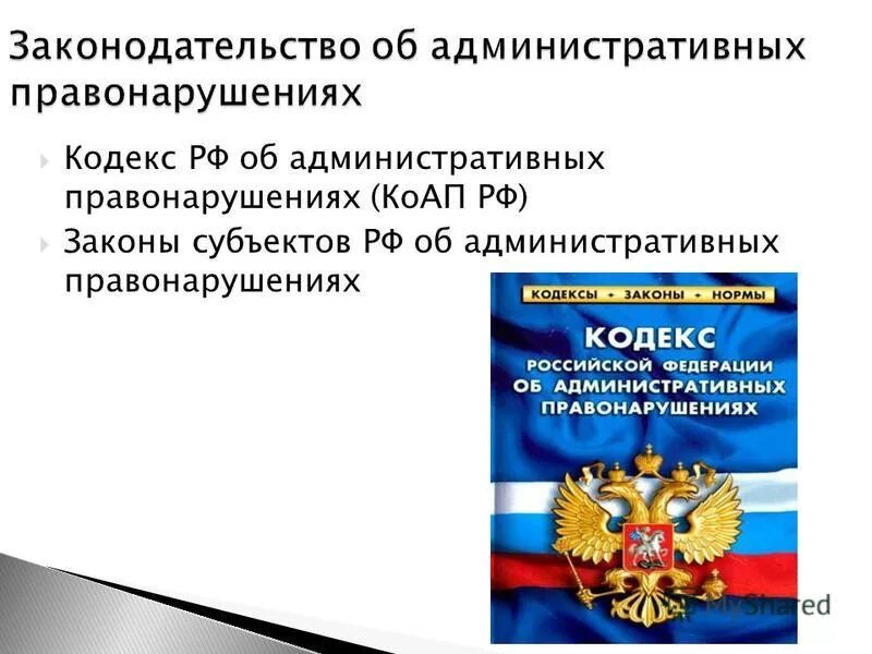 Какие административном кодексе