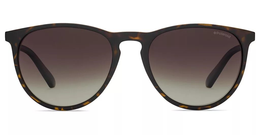Очки ray ban wings. Очки рейбан wm9006. Очки ray ban wayfarer мужские. Очки ray ban wayfarer мужские. Сайт очки ray ban.