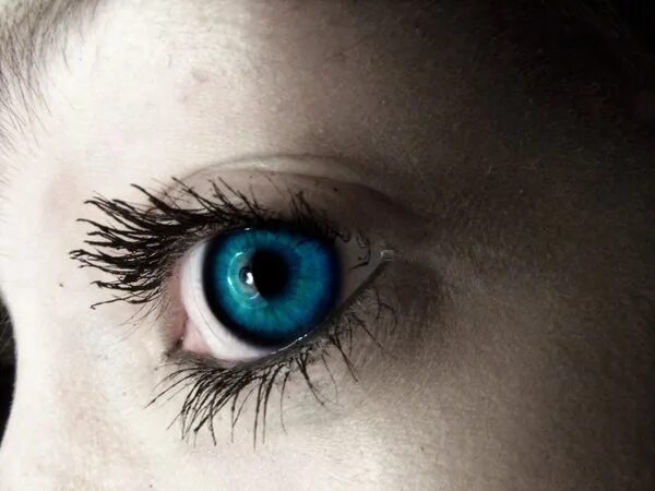 У меня голубые глаза на английском. Васильковый цвет глаз. Глаза цвета Васильков. Цвет глаз Василек. Голубые глаза вблизи.