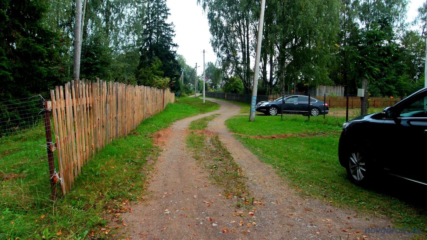 Сайт окуловского суда новгородской области. Деревня Боровно Окуловский район. Деревня Боровно Вышневолоцкий район. Деревня Окуловка Новгородской области. Дорога между участками в деревне.