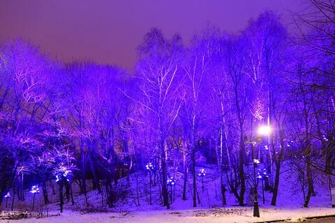 Сказочный лес москва