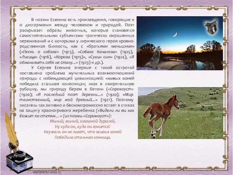 Произведения в которых есть животные. Образ животных в поэзии есенина. поэзия и животные. произведения есенина о животных. животные в стихах есенина.