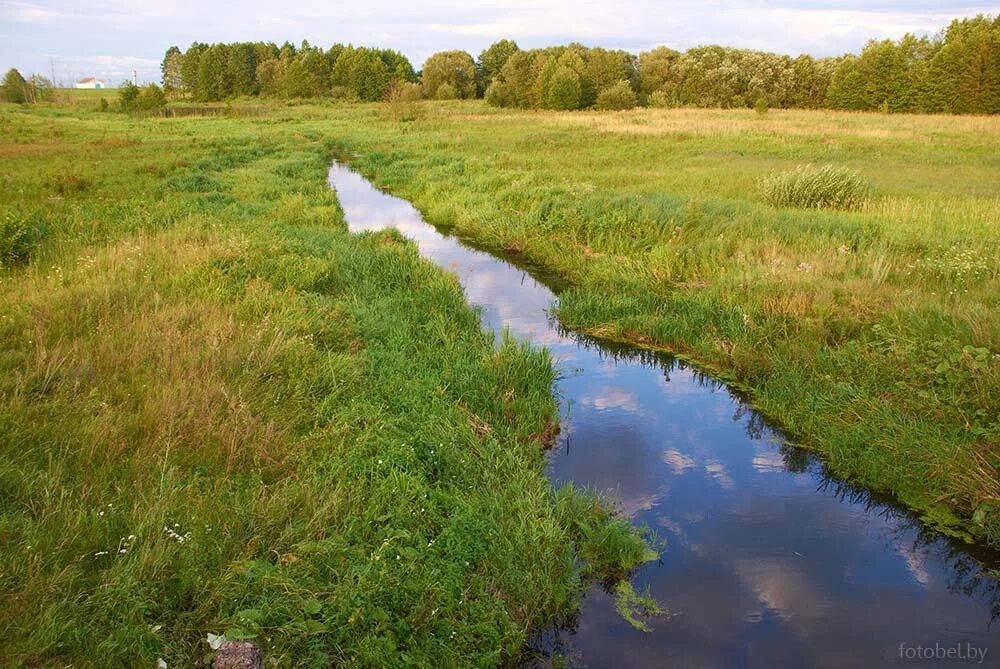 река неман сообщение. гродненская область река больтенишки. левый приток реки щара 4 буквы. река вынга. река исток русло схема.