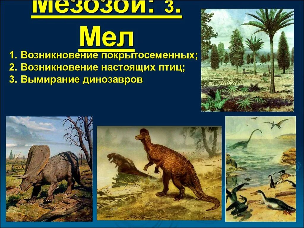 Меловой период мезозойской эры растения. Мезозойская Эра меловой период животные. Мезозойская Эра вымирание.