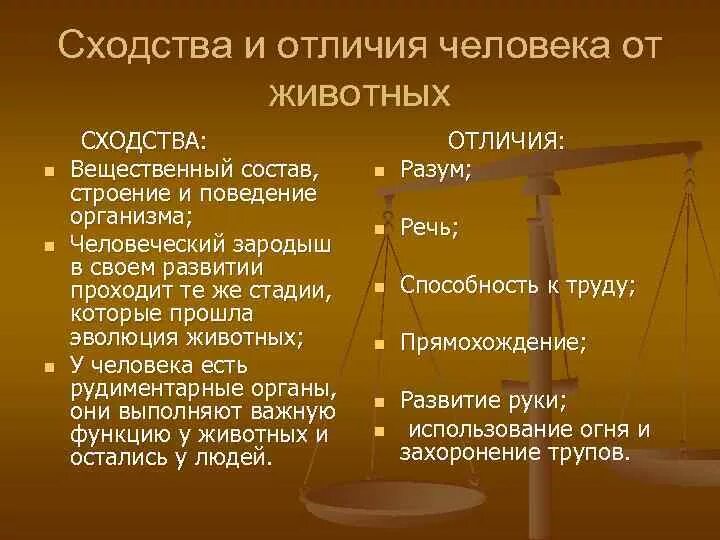 Назовите основные сходства человека и животных