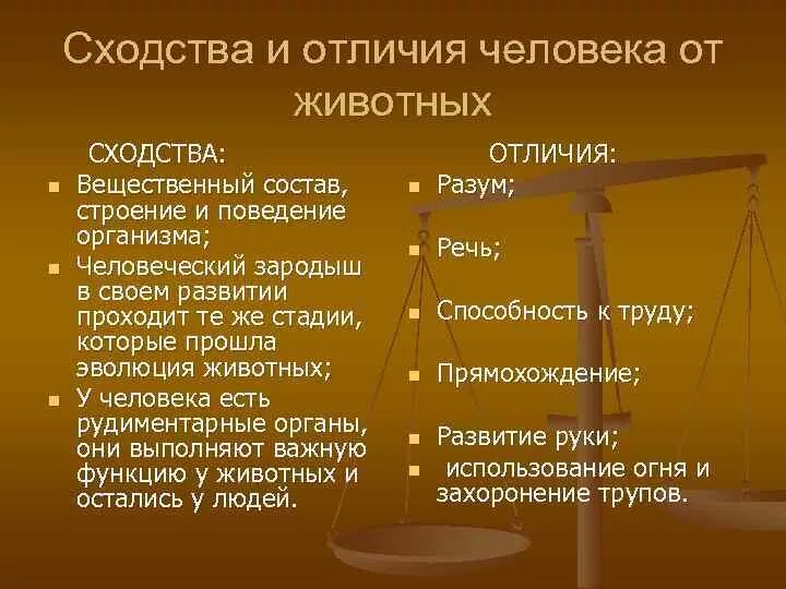 Черты сходства и различия человека. Черты сходства и черты различия между человеком и животным. Черты сходства и отличия человека от животных. Черты сходства и черты различия человека и животного Обществознание. Сходства и различия между человеком и животным биология.