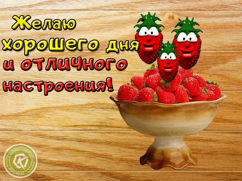 Доброго дня и хорошего настроения картинки смешные. Хорошего дня прикольные. хорошего дня картинки прикольные. позитивного дня и хорошего настроения. хорошего дня и настроения прикольные.