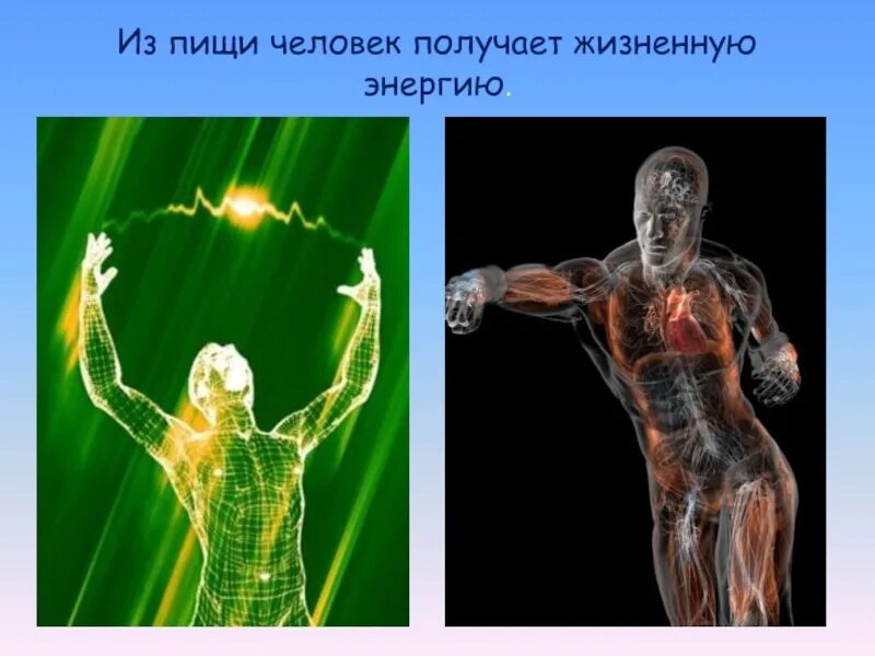 Питание 5 энергий. Энергия в организме человека. Энергетическое питание. Энергия в теле человека. Питание и энергия человека.