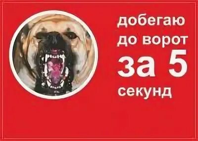 Добежать до ворот. Добежать до ворот. Проводи нас до ворот. Добежать до ворот. Добежать до ворот.