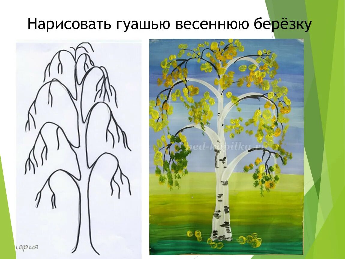 Изо рисовать дерево. Рисование березы. Берёза поэтапное рисование. Рисование березы для дошкольников. Рисование 2 класс.