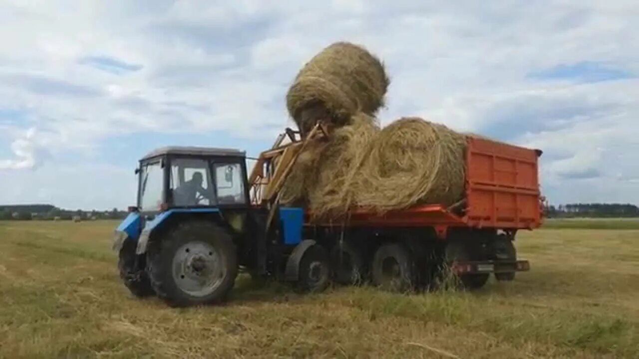 Трактора грузят. МТЗ 82.1 погрузка рулонов сена на КАМАЗЫ. Трактор МТЗ 82.1 С прицепом. МТЗ 82 1 сенокос. Погрузка рулонов сена МТЗ 80-82.