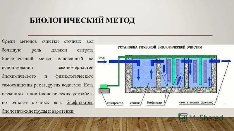 Используются для очистки сточных вод. Биологическим методом очистки сточных вод является. Биологический этап очистки воды схема. Биологический метод очистки воды схема. Основа метода биологической очистки сточных вод:.