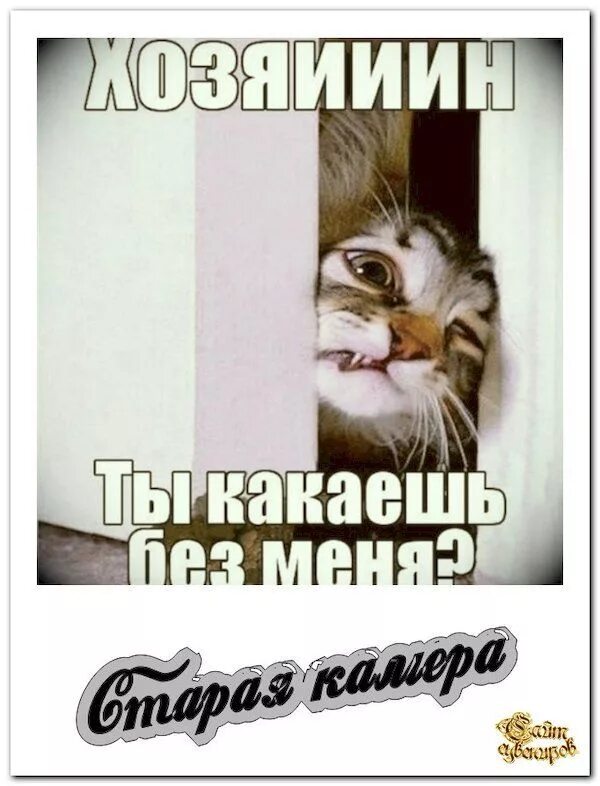 Включи который я какаю включи