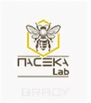 Пасека лаб. Пасека лаб. Пасека лаб. Пасека лаб. Пасека лаб.