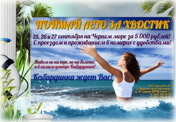 Море туров. Автобусом к морю надпись. Объявление поездки на море. Тур на черное море из воронежа. Море туров.
