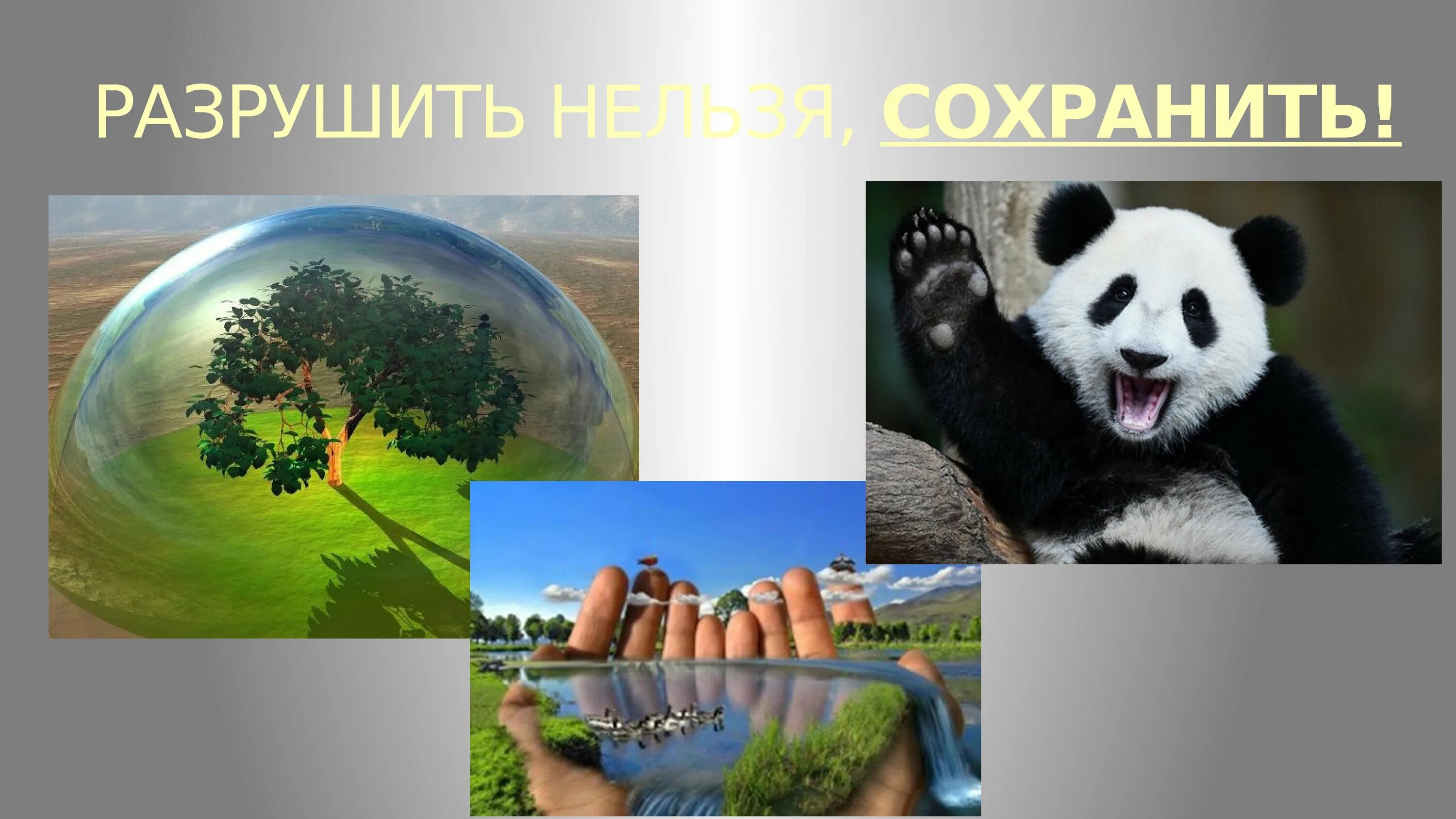 Биосфера 6 класс география. Биосфера сфера жизни презентация. Конспект по теме биосфера сфера жизни. Презентация биосфера география. Биосфера-сфера жизни презентация 6 класс.