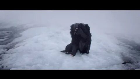 Лобода 40 градусов слушать