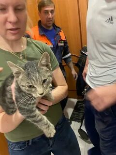 Кот спас жизнь
