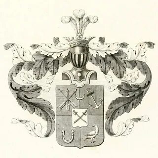 Род новик
