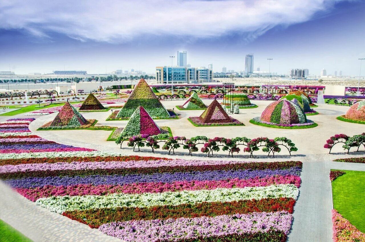 Дубайский парк. Парк Миракл Гарден Дубай. Сад в Дубае Миракл Гарден. Парк цветов Miracle Garden Дубай. Парк сад чудес в Дубае ОАЭ.