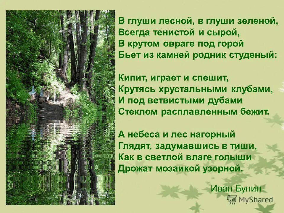 Слова песни родники. Стихотворение Бунина Родник. В глуши Лесной в глуши зеленой всегда. Бунин в глуши Лесной в глуши зеленой.