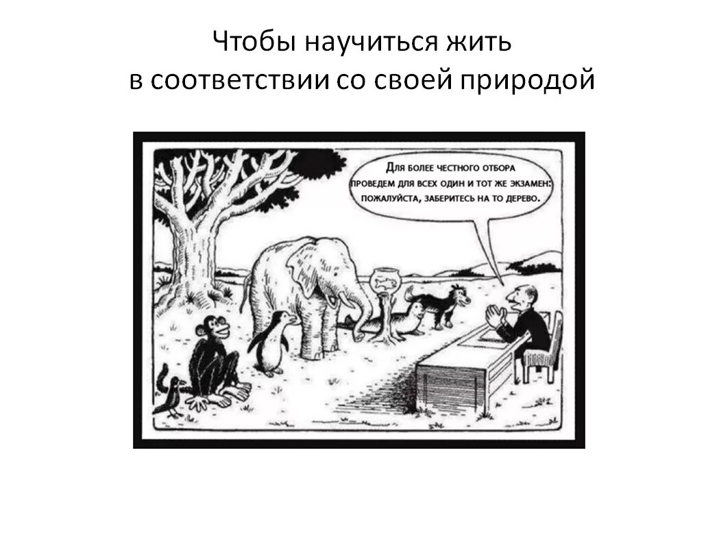 Живите в соответствии с годами. Задача залезть на дерево. Задание залезть на дерево. Одинаковое задание для всех залезть на дерево. Карикатура залезьте на дерево.