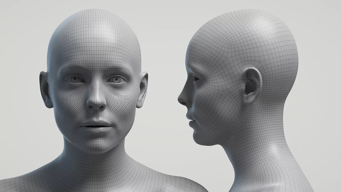 Base Mesh head. Zbrush head Base Mesh. Человеческая голова. Меш лица. Based heads