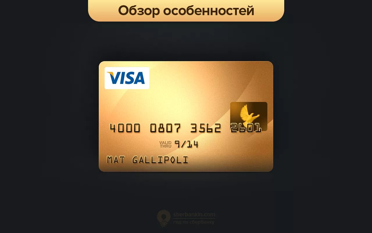 Золотая карта банка. Карта visa. карточка виза. банковская карта visa. кредитная карта visa.