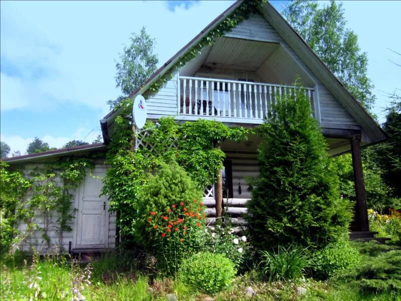 дача с баней. дача в подмосковье. сниму дом ленинградская область без посредников. загородный дом ленобласть. коттедж в ло.