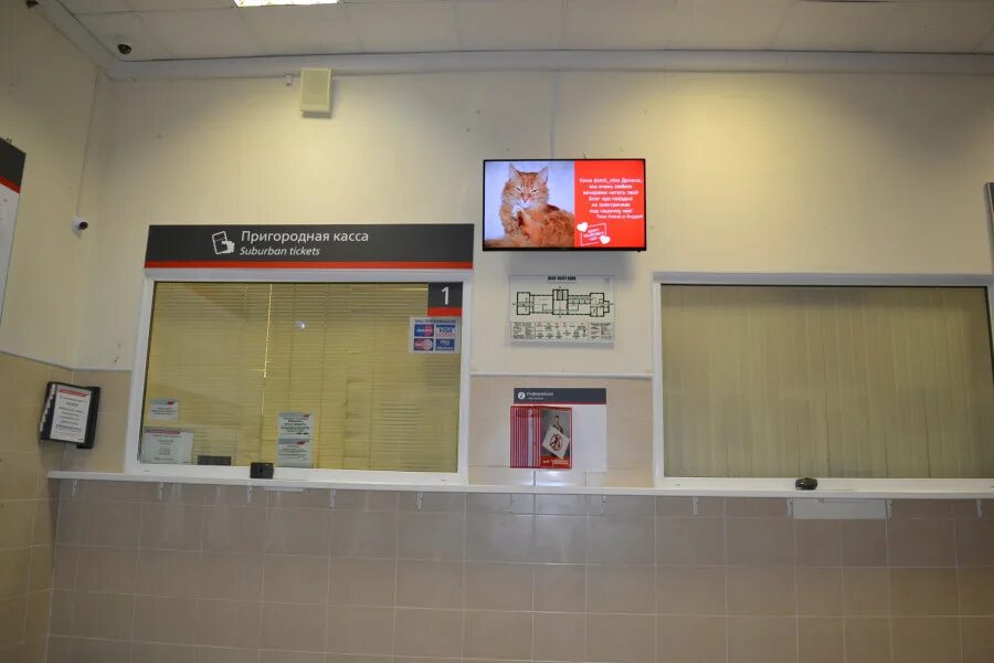 номер телефона жд вокзала екатеринбург кассы. номер телефона жд вокзала екатеринбург кассы. золотой вокзал екатеринбург. кассы железнодорожных билетов. номер телефона жд вокзала екатеринбург кассы.